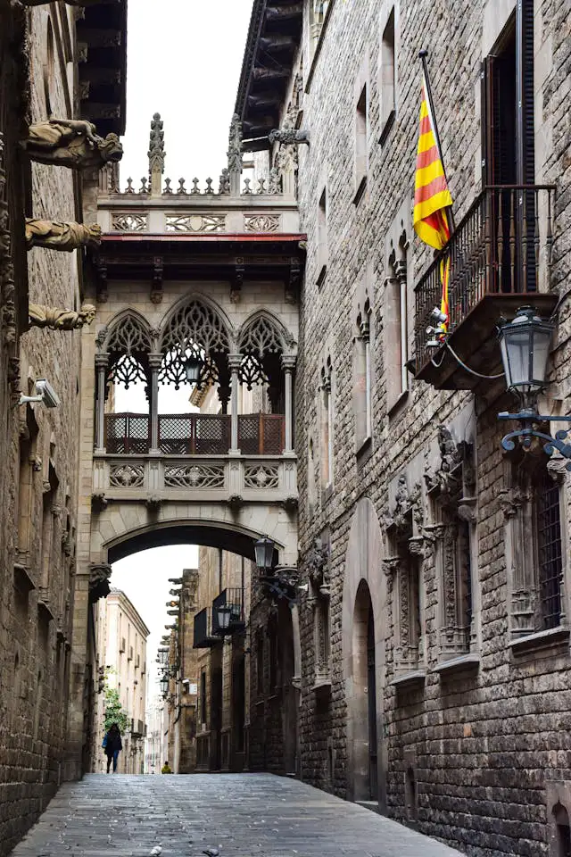 Gothic Quarter (Barri Gòtic)